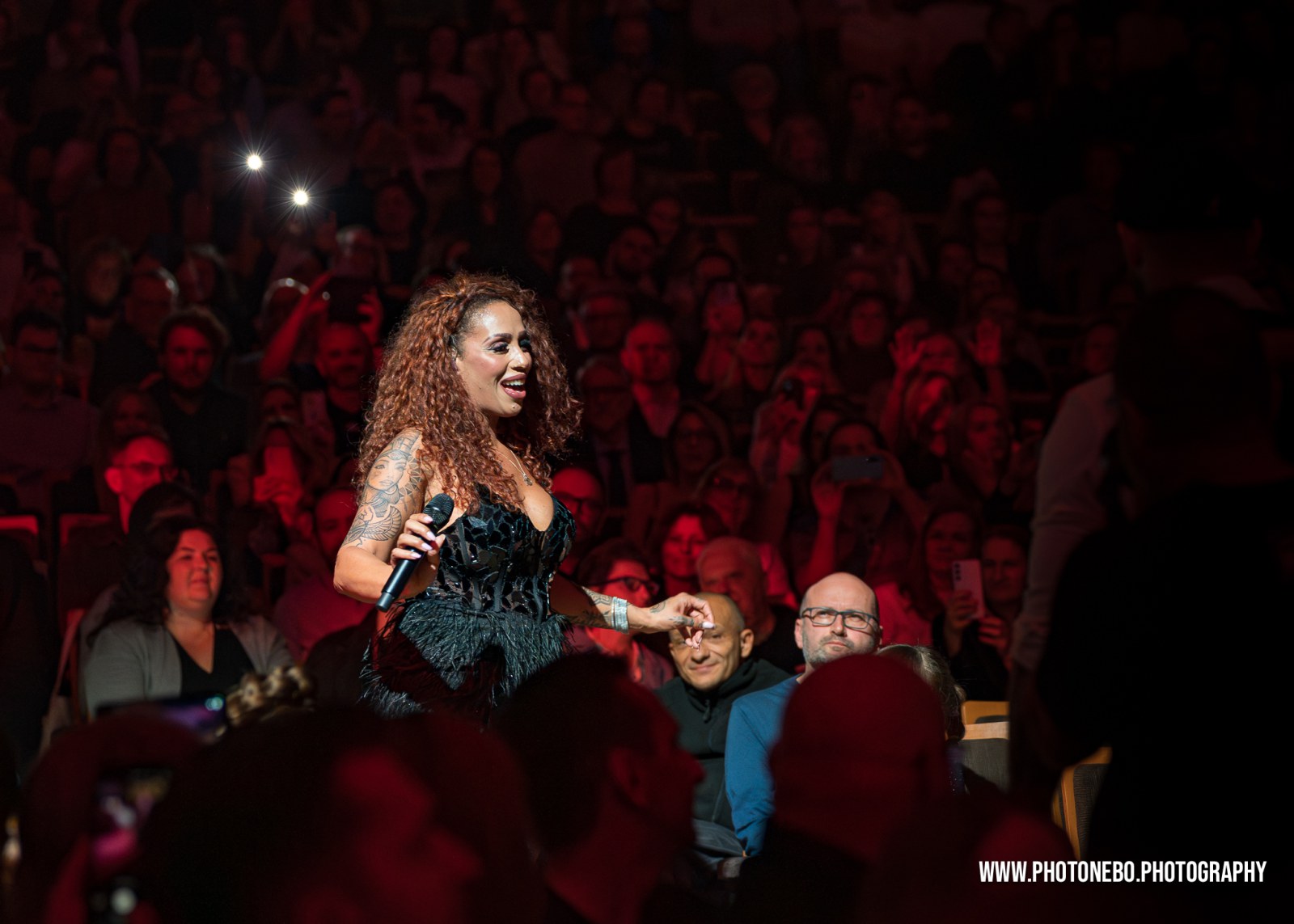 Professional live music photographer Croatia