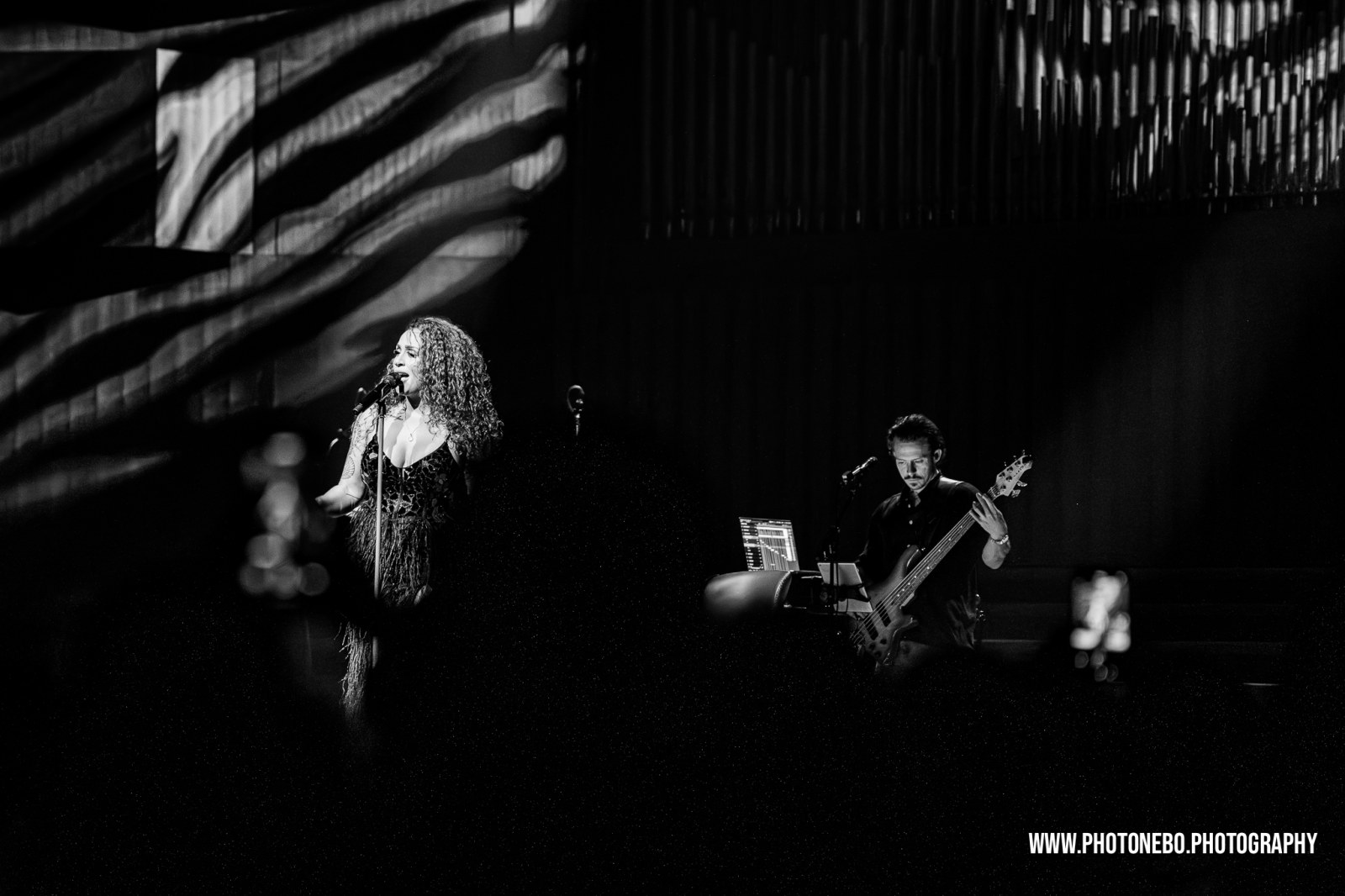 Whitney Houston tribute concert photography