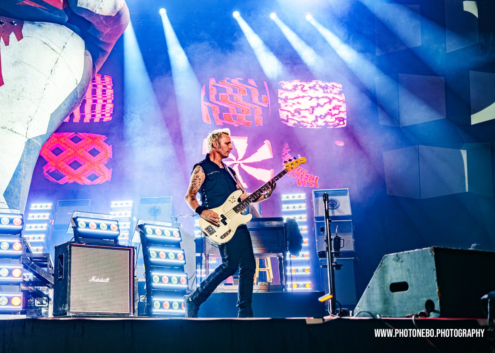 Mike Dirnt Green Day concert photo Vienna