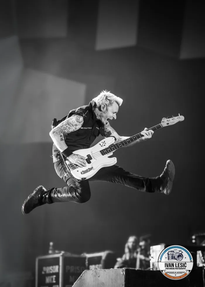 Green Day, Vienna, Austria, 2025